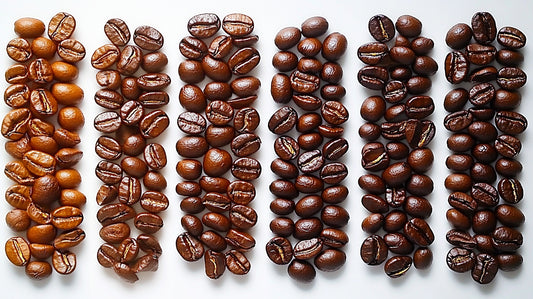 Coffee Bean Roast Levels: The Key to Unlocking Flavor Potential